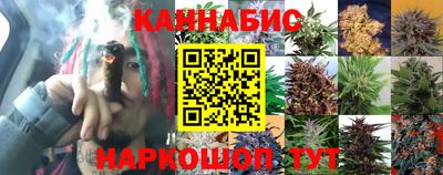 гидра Азнакаево